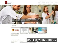 Miniaturka chemia.p.lodz.pl (Wydział Chemiczny, Politechnika Łódzka)