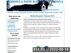Miniaturka domeny www.chosna.pl