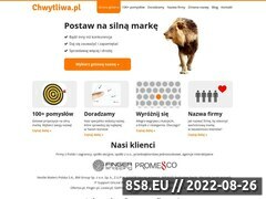 Miniaturka www.chwytliwa.pl (Chwytliwe pomysły na brand dla firmy i portalu)