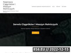 Miniaturka domeny www.ciagniki-maszyny-rolnicze.pl