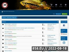 Miniaturka cichlidae.pl (Forum o pielęgnicach)