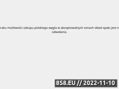 Miniaturka domeny ciepelkodladomu.pl