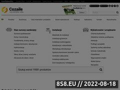 Miniaturka domeny cozaile.budujemydom.pl