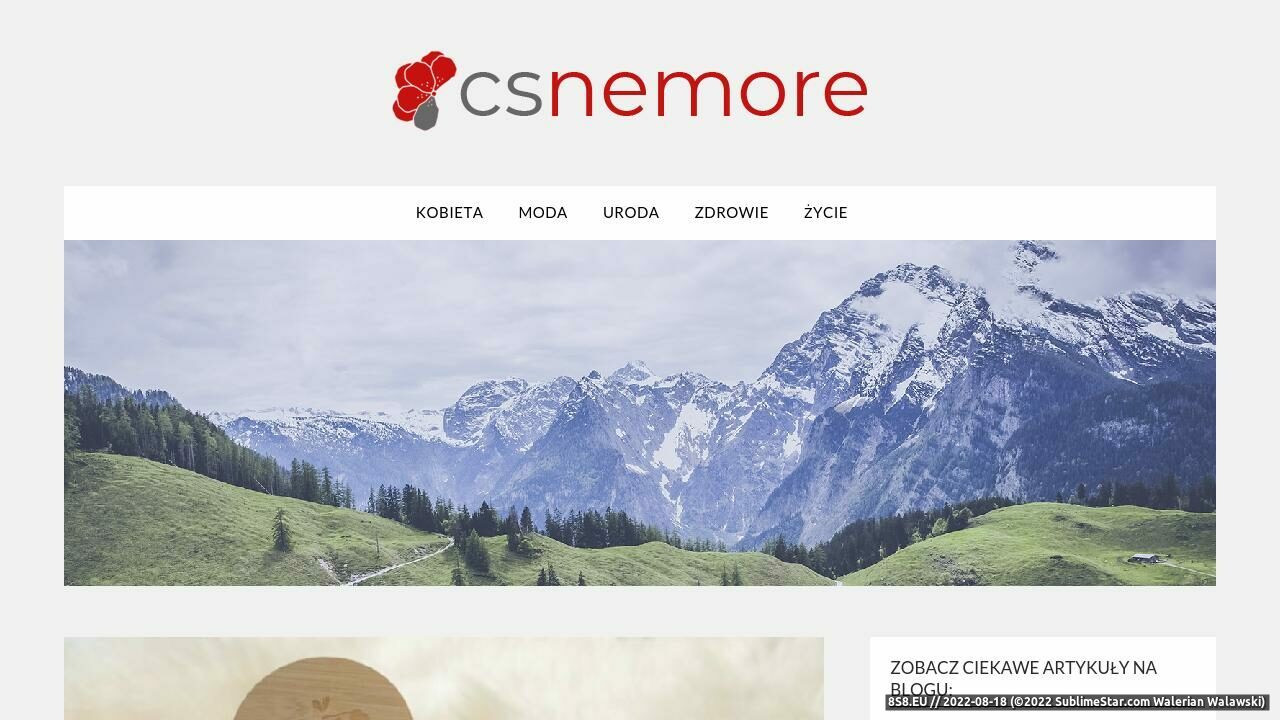 Zrzut ekranu serwery cs- www.csnemore.pl