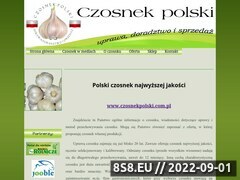 Miniaturka domeny czosnekpolski.com.pl