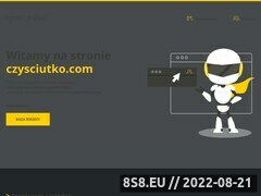 Miniaturka domeny www.czysciutko.com