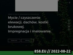 Miniaturka domeny czyszczenie.xlx.pl