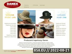 Miniaturka domeny danex-kapelusze.pl