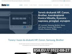 Miniaturka datajet.pl (Tonery do drukarek, serwis ploterów)