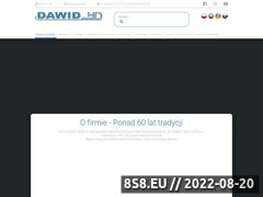 Miniaturka domeny dawid.pl