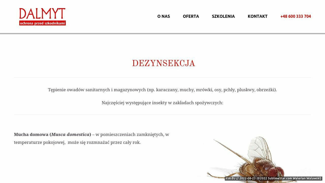 Zrzut ekranu Dezynsekcja, deratyzacja w Warszawie