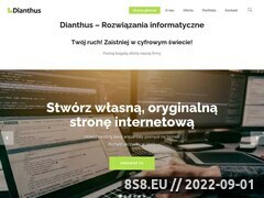 Miniaturka strony Agencja Interaktywna Dianthus - Strony WWW d