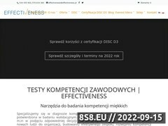 Miniaturka strony Disc Polska - trener biznesu