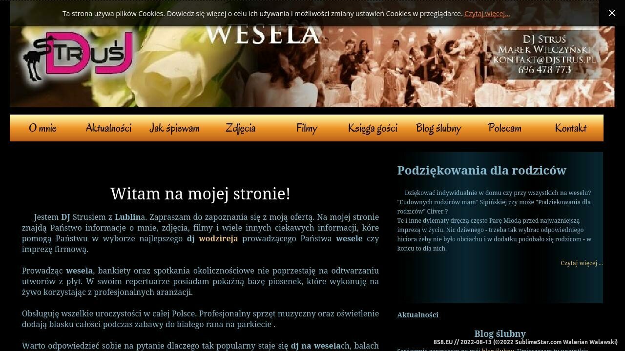 Najlepszy dj na wesela z Lublina (strona djstrus.pl - Dj na Wesele)