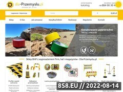 Miniaturka domeny dla-przemyslu.pl