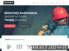 Miniaturka domeny domex-puszczykowo.pl