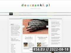 Miniaturka douczanki.pl (Portal ogłoszeń korepetycji)