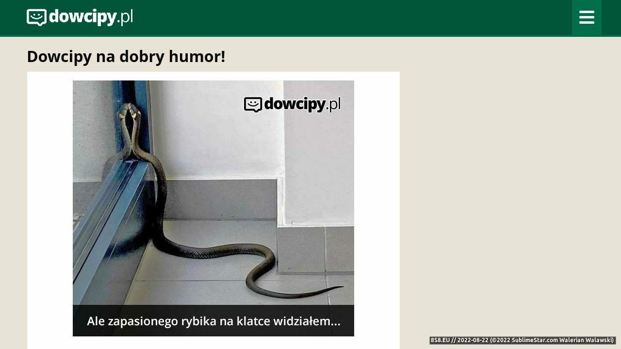 Humor - dowcipy i kawały (strona www.dowcipy.pl - śmieszne teksty)