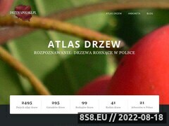 Miniaturka www.drzewapolski.pl (Atlas Internetowy Drzewa Polski)
