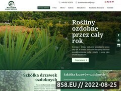 Miniaturka domeny www.drzewkawaleczek.pl