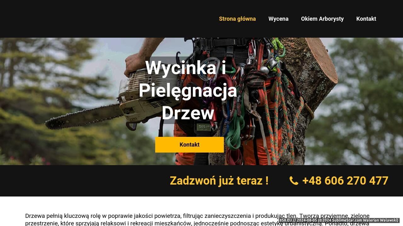 Wycinka i pielęgnacja drzew Warszawa (strona drzewnymajster.pl - Drzewny Majster)