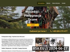 Miniaturka drzewnymajster.pl (Wycinka i pielęgnacja drzew Warszawa)