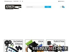 Miniaturka domeny dws-sport.pl
