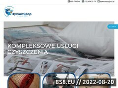 Miniaturka domeny www.dywanszop.pl