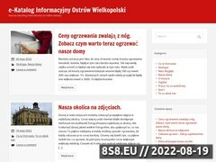 Miniaturka domeny e-katalog.ostrowwlkp.pl