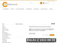 Miniaturka domeny www.e-nierdzewne.pl
