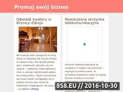 Miniaturka domeny www.e-promotion.com.pl