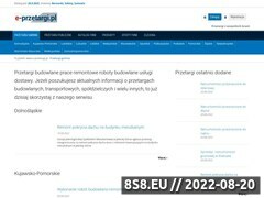 Miniaturka e-przetargi.pl (Przetargi)