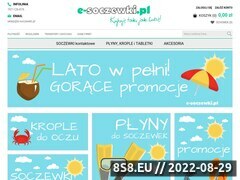 Miniaturka domeny www.e-soczewki.pl