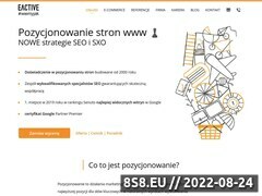 Miniaturka domeny eactive.com.pl