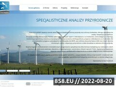 Miniaturka domeny eco-expert.pl