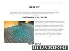 Miniaturka domeny eco-zdunik.pl