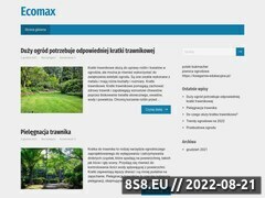 Miniaturka domeny www.ecomax.info.pl