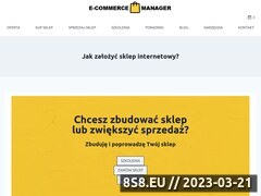 Miniaturka ecommerce-manager.pl (Budowa sklepów internetowych)