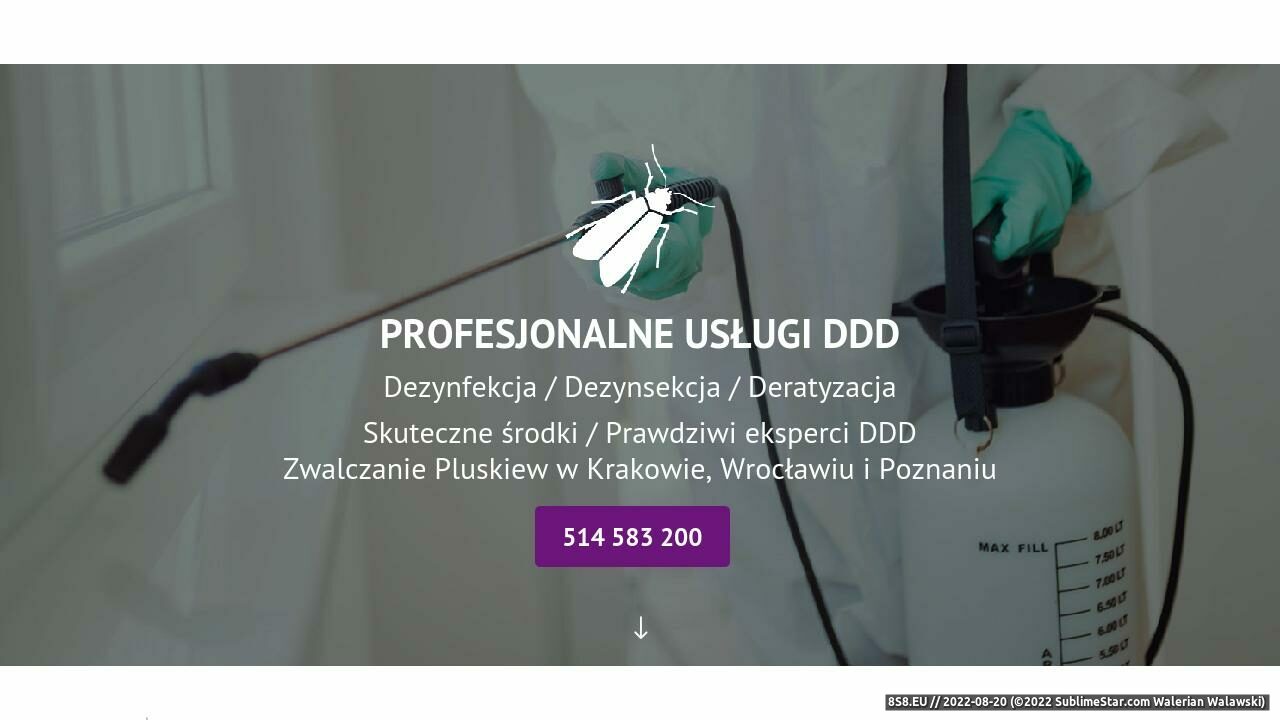 Dezynsekcja Warszawa (strona www.edddperfekt.pl - Edddperfekt.pl)