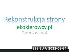 Miniaturka domeny www.ekokierowcy.pl