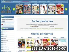 Zrzut strony Gazetki promocyjne Biedronka, Avans, Lidl, Decathlon, Media Markt, Tesco