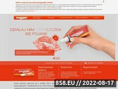 Miniaturka domeny www.erazaban.pl