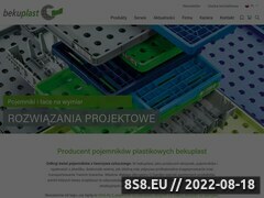 Miniaturka domeny erg-system.pl
