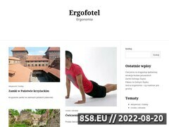 Miniaturka domeny www.ergofotel.pl