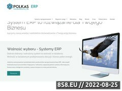Miniaturka www.erp-polkas.pl (Systemy ERP)
