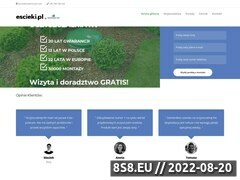 Miniaturka domeny escieki.pl