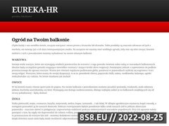 Miniaturka domeny www.eureka-hr.pl