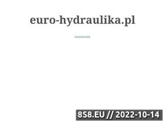 Miniaturka www.euro-hydraulika.pl (<strong>hydraulika siłowa</strong> - sklep)