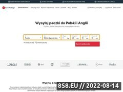 Miniaturka domeny euro-paka.pl