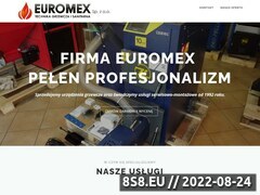 Miniaturka domeny www.euromex.pl